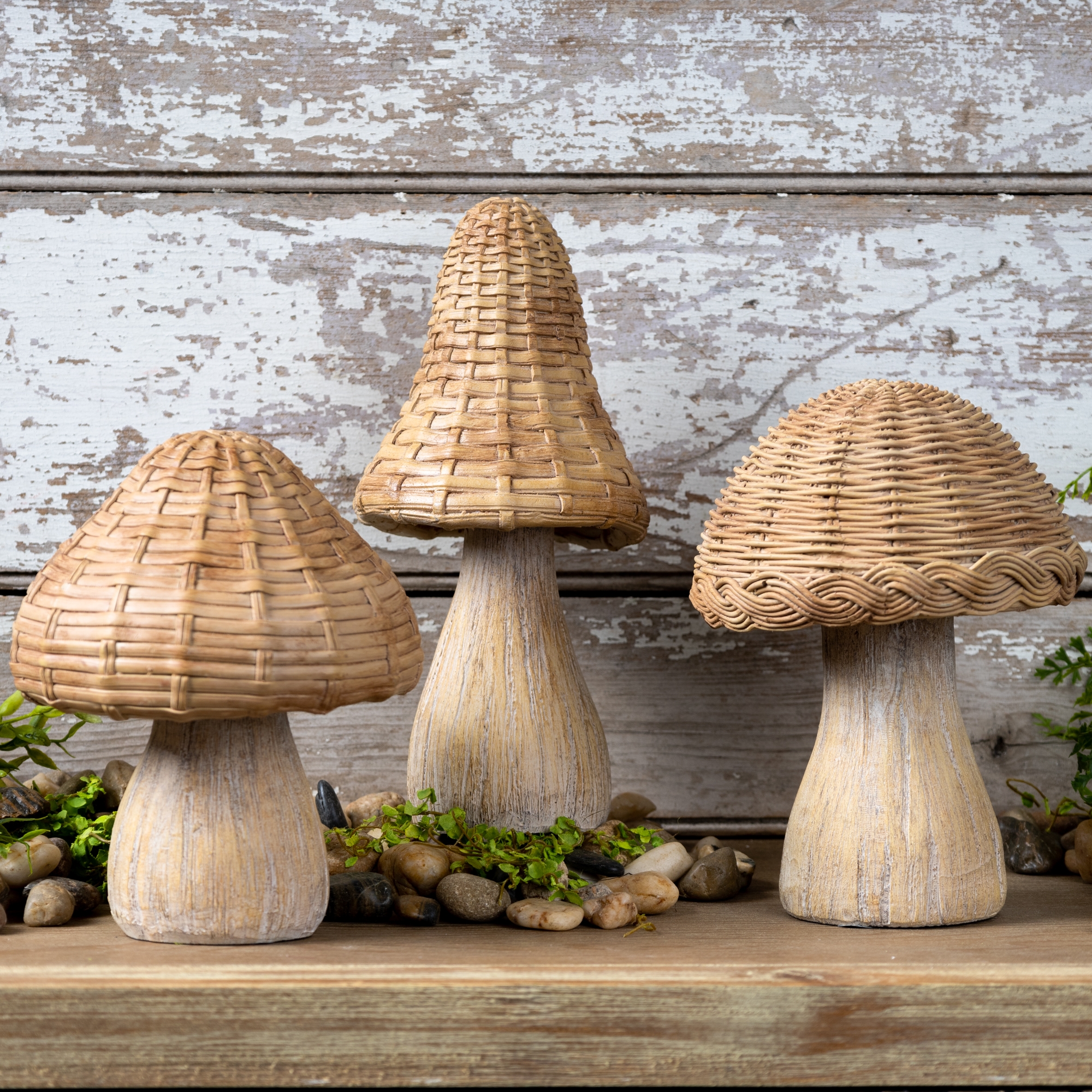 Mushroom (Set of 3) 6
