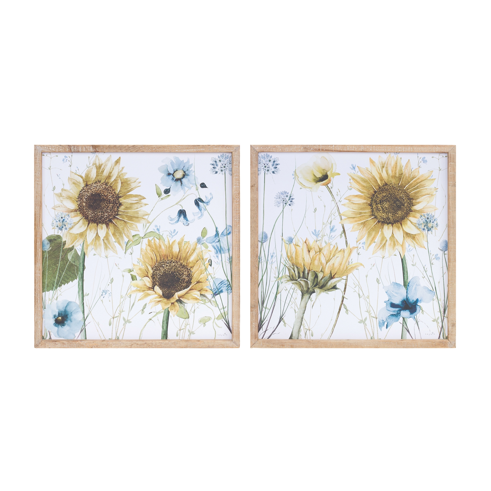 Framed Floral Print (Set of 2) 15.5