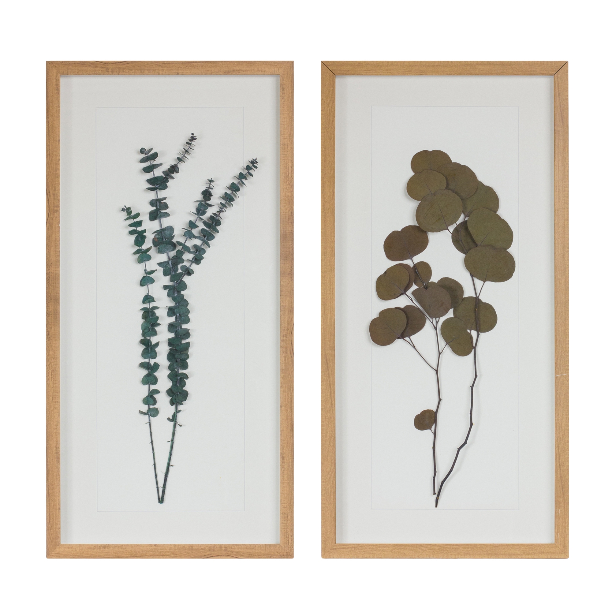 Framed Foliage (Set of 2) 14