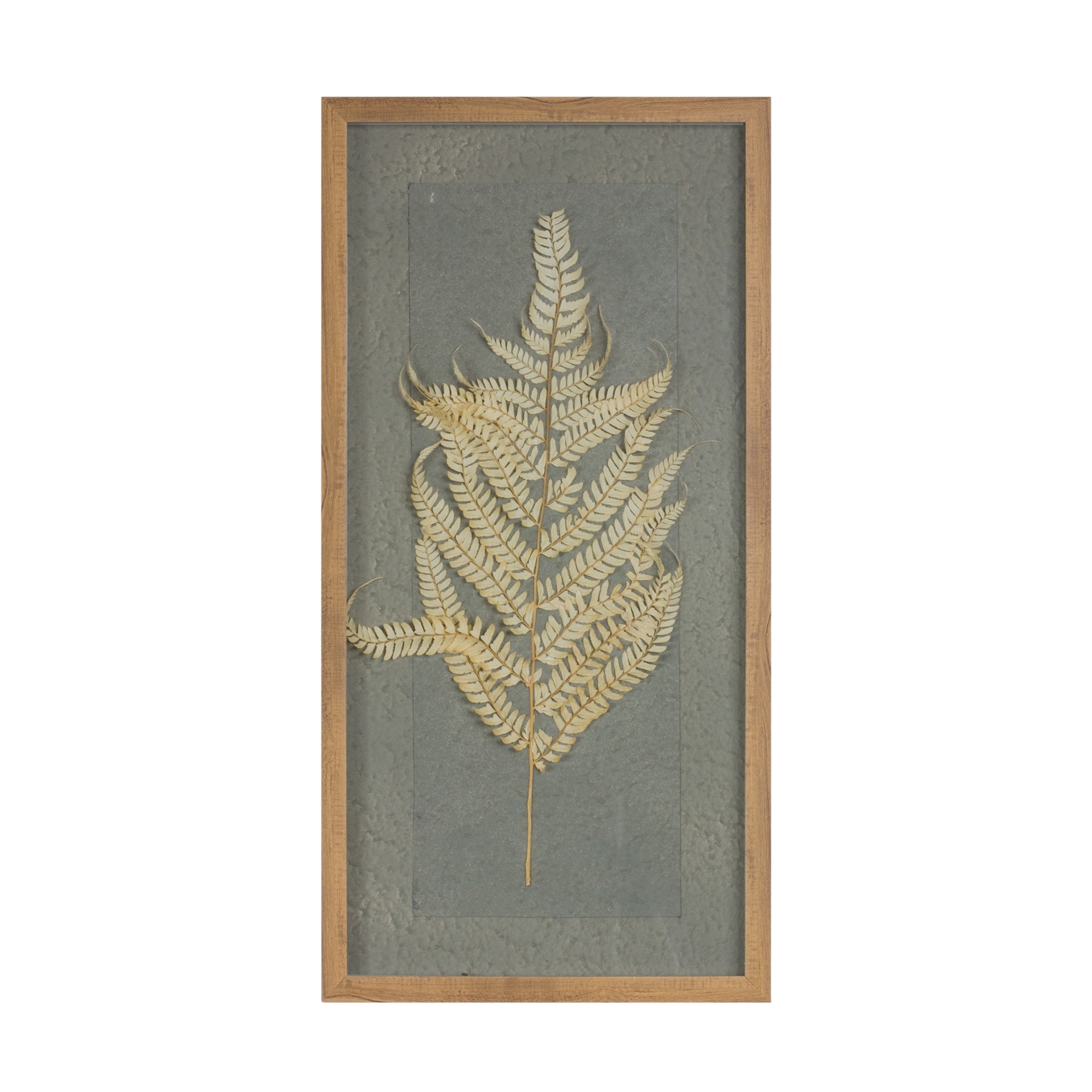 Framed Fern (Set of 2) 14