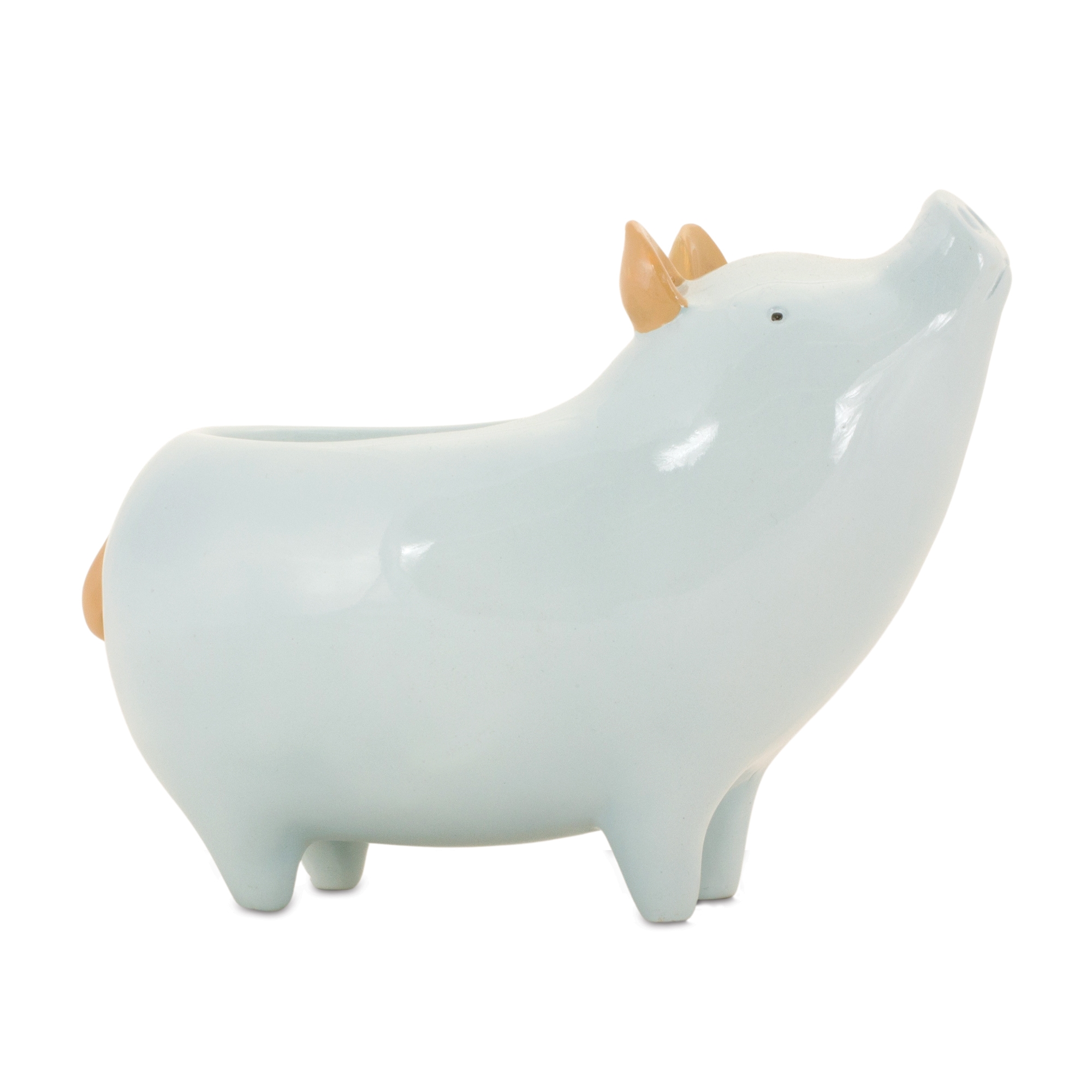 Pig Planter (Set of 4) 6