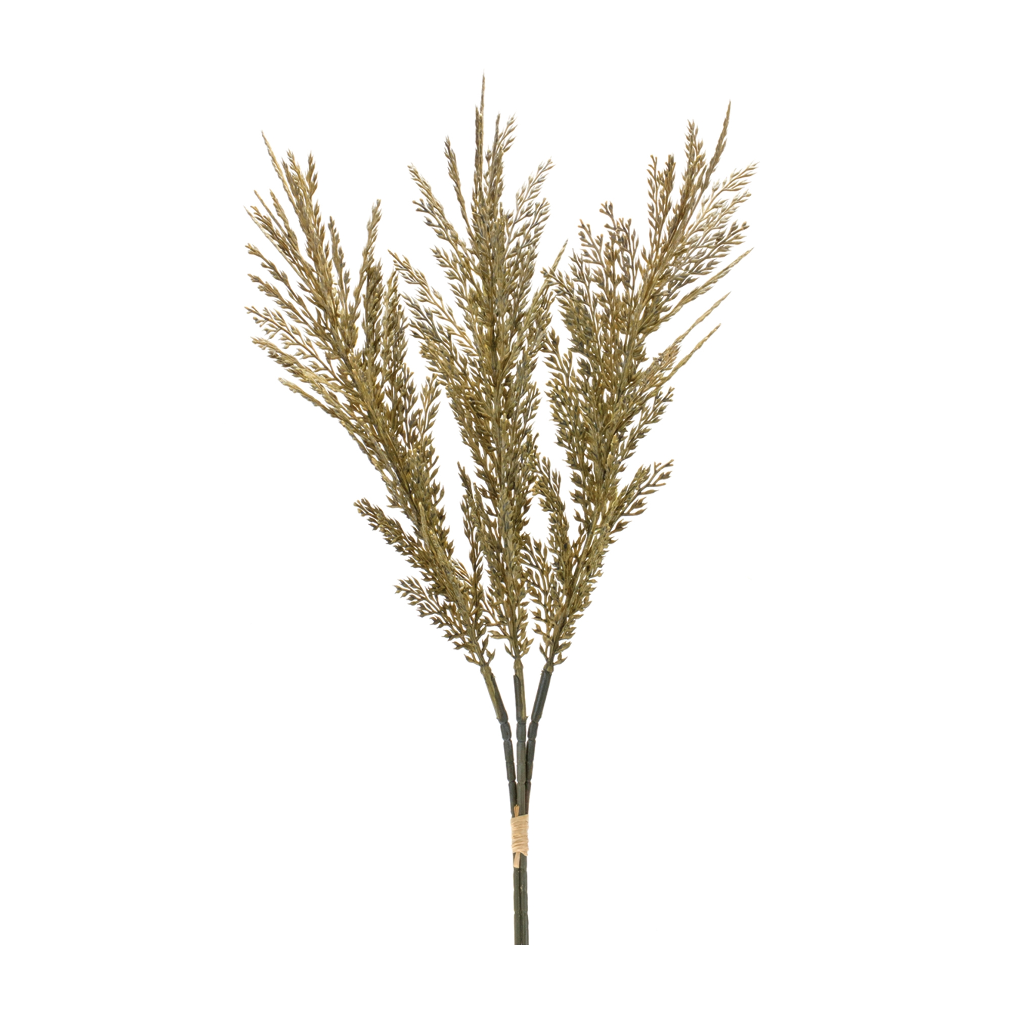 Plume Bundle (Set of 6) 26