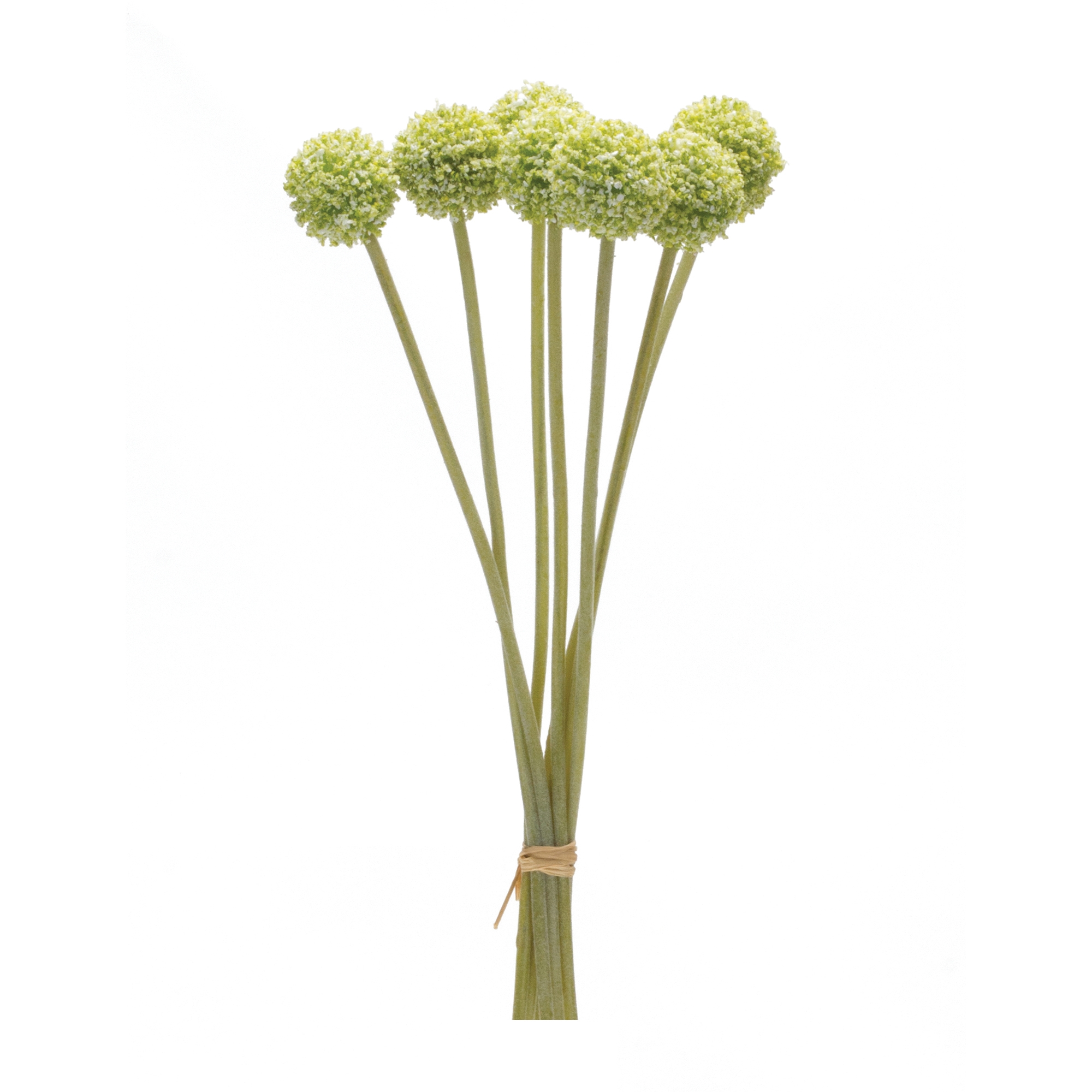 Pod Bundle (Set of 6) 13.25