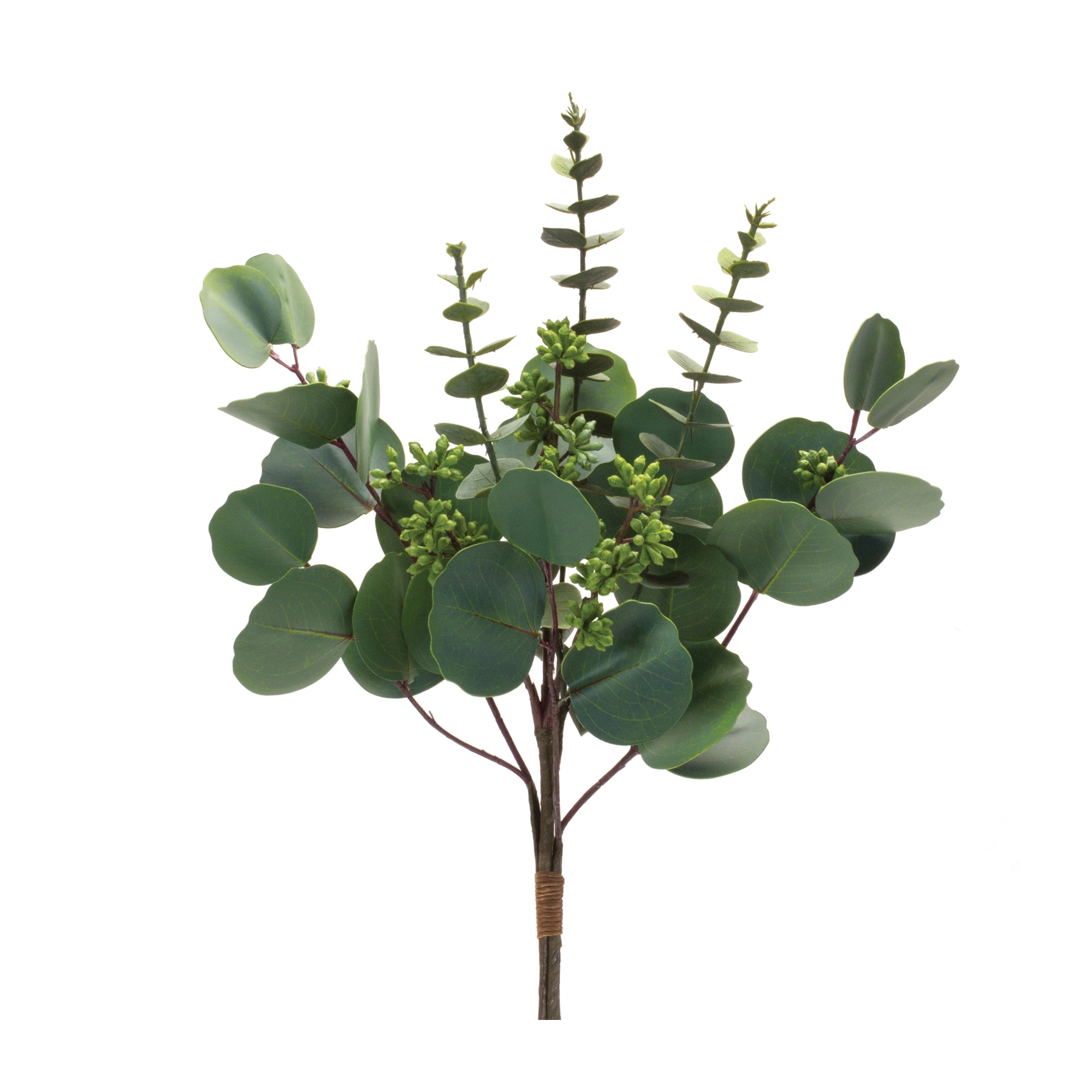 Mixed Eucalyptus Bundle (Set of 6) 18.5