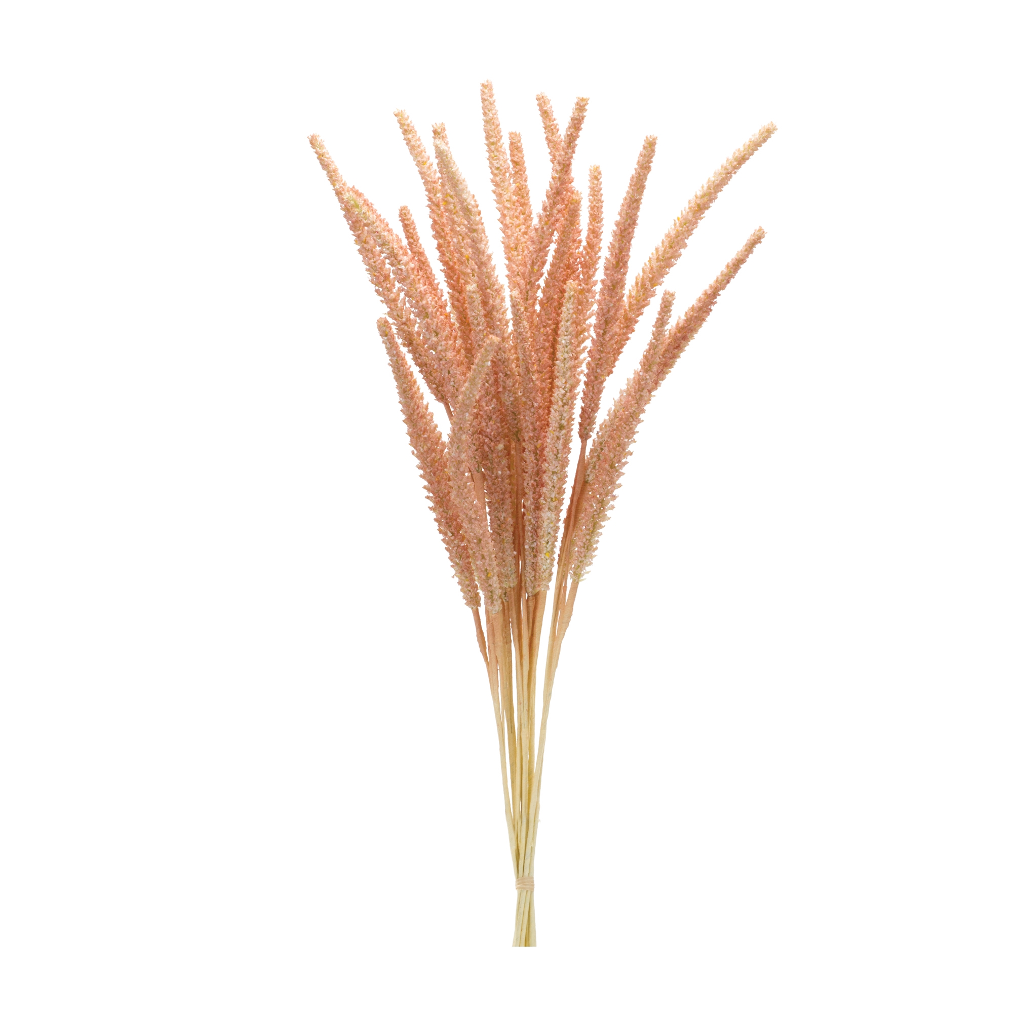 Foxtail Bundle (Set of 6) 22