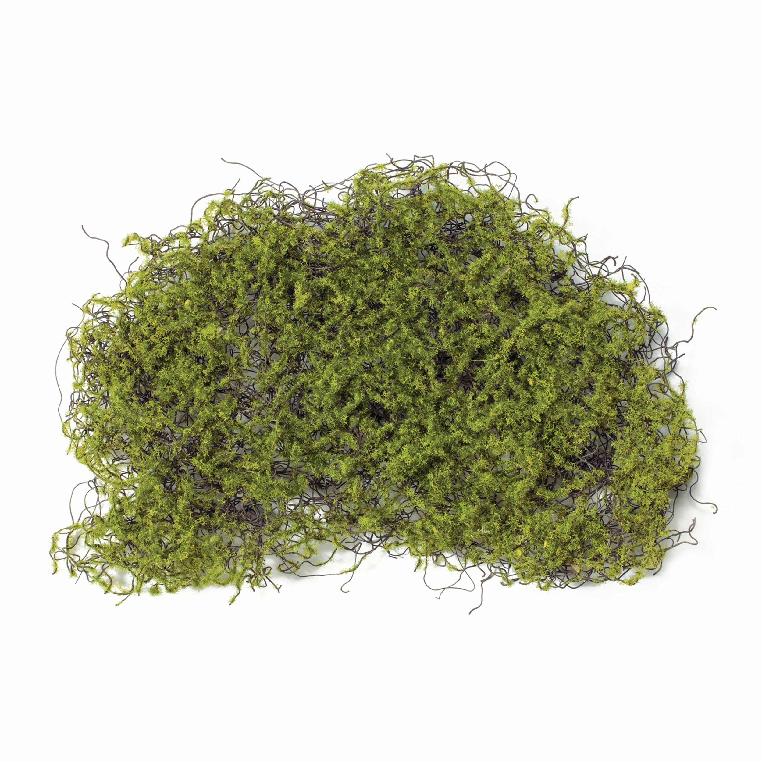 Moss Pad (Set of 12) 11.5