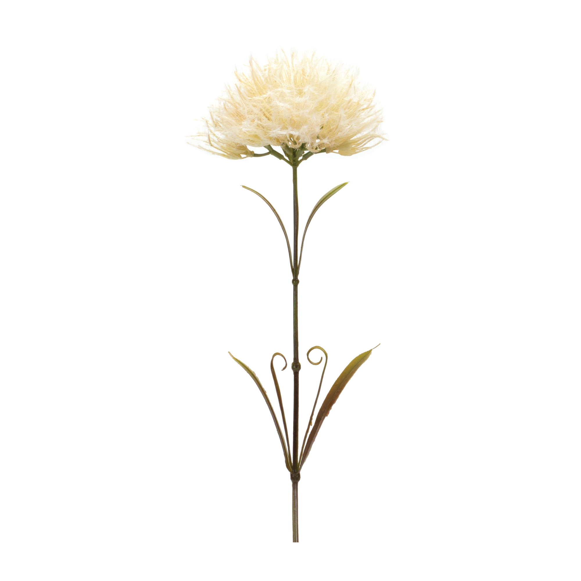 Puff Stem (Set of 6) 24