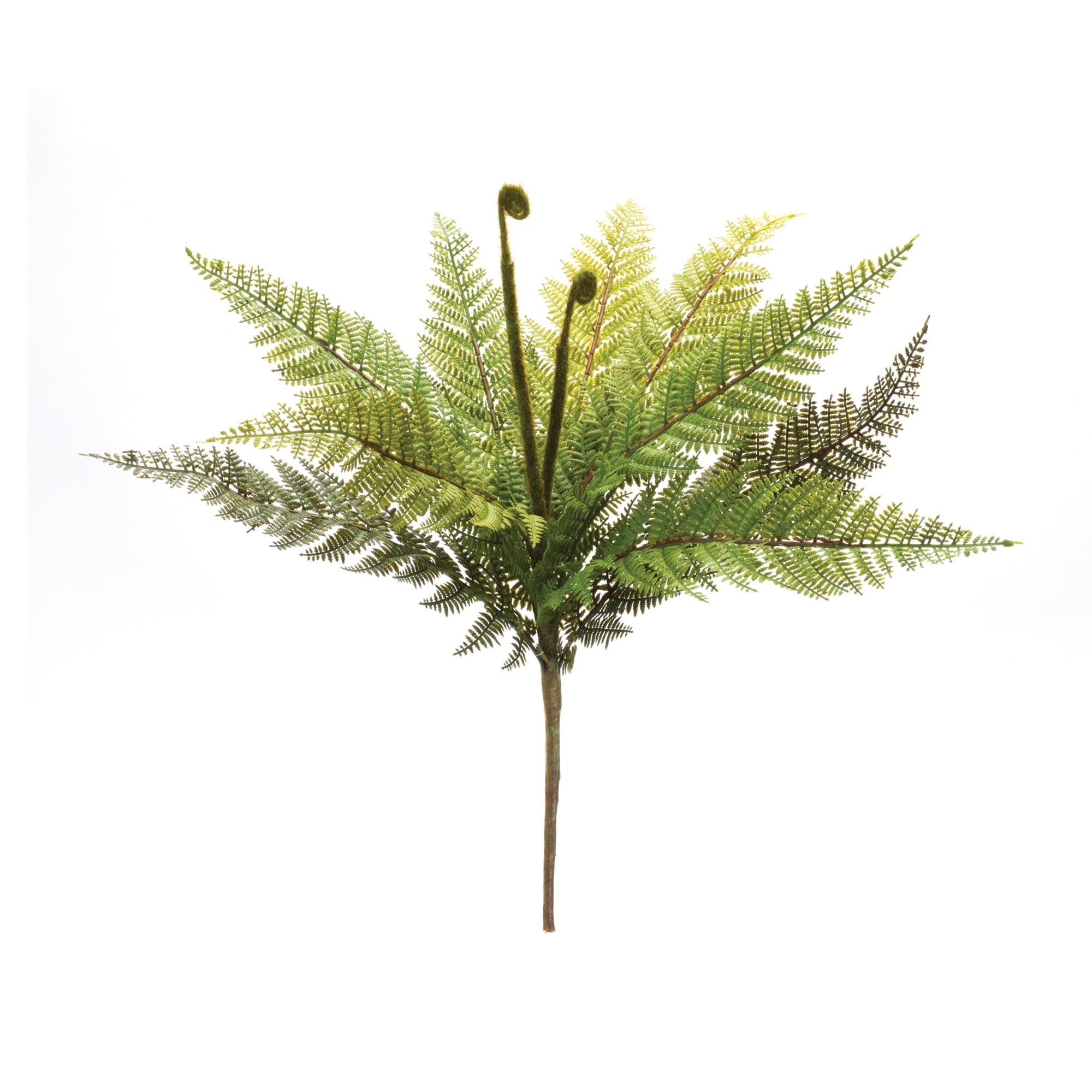 Fern Bush (Set of 12) 19