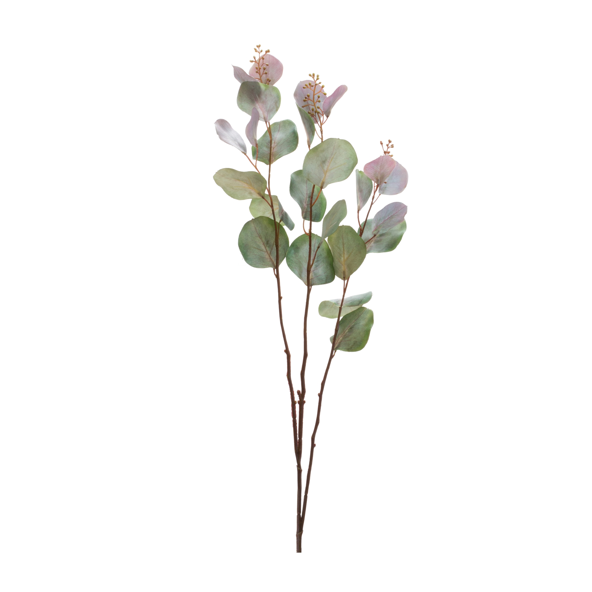 Eucalyptus Stem (Set of 6) 38