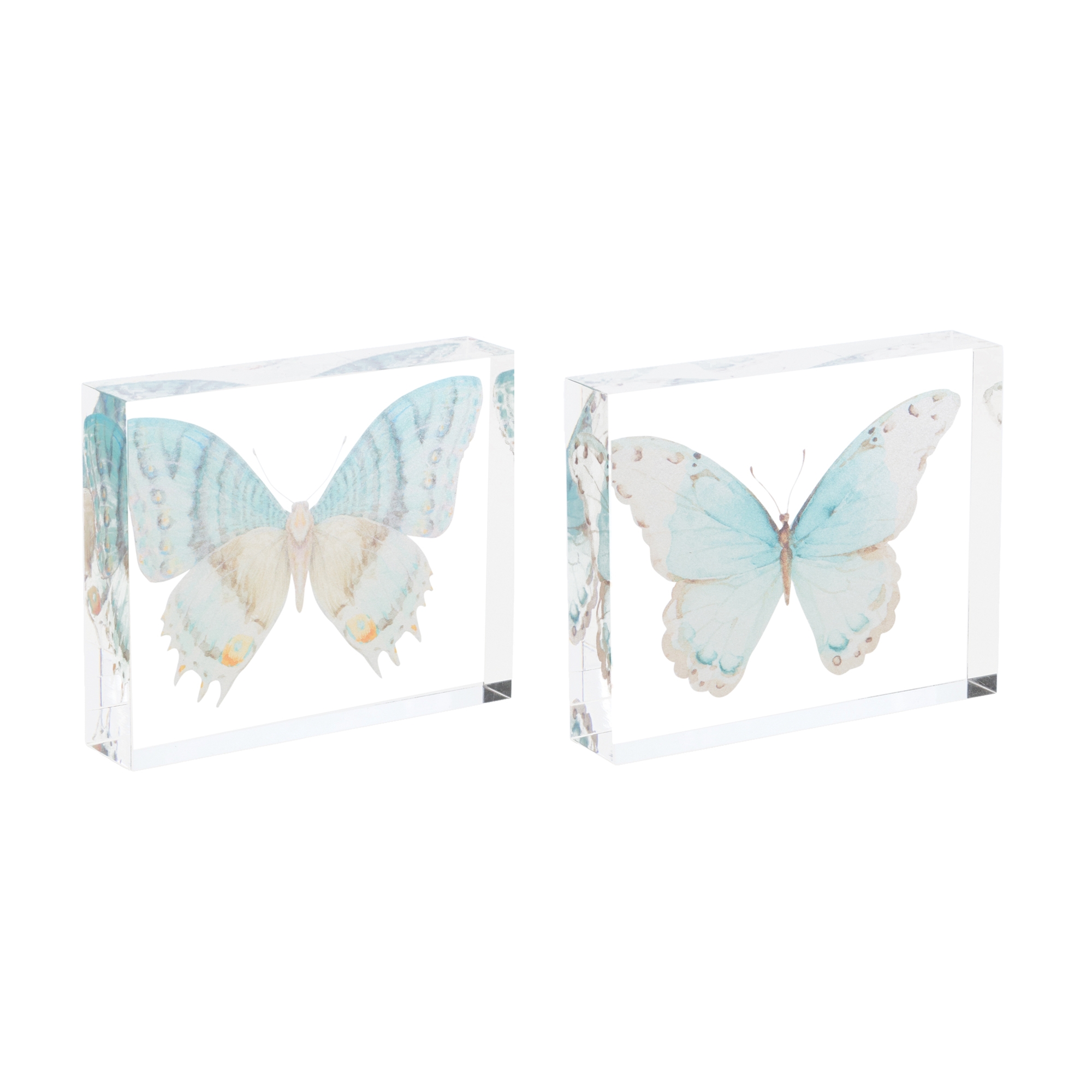 Butterfly (Set of 4) 5.5