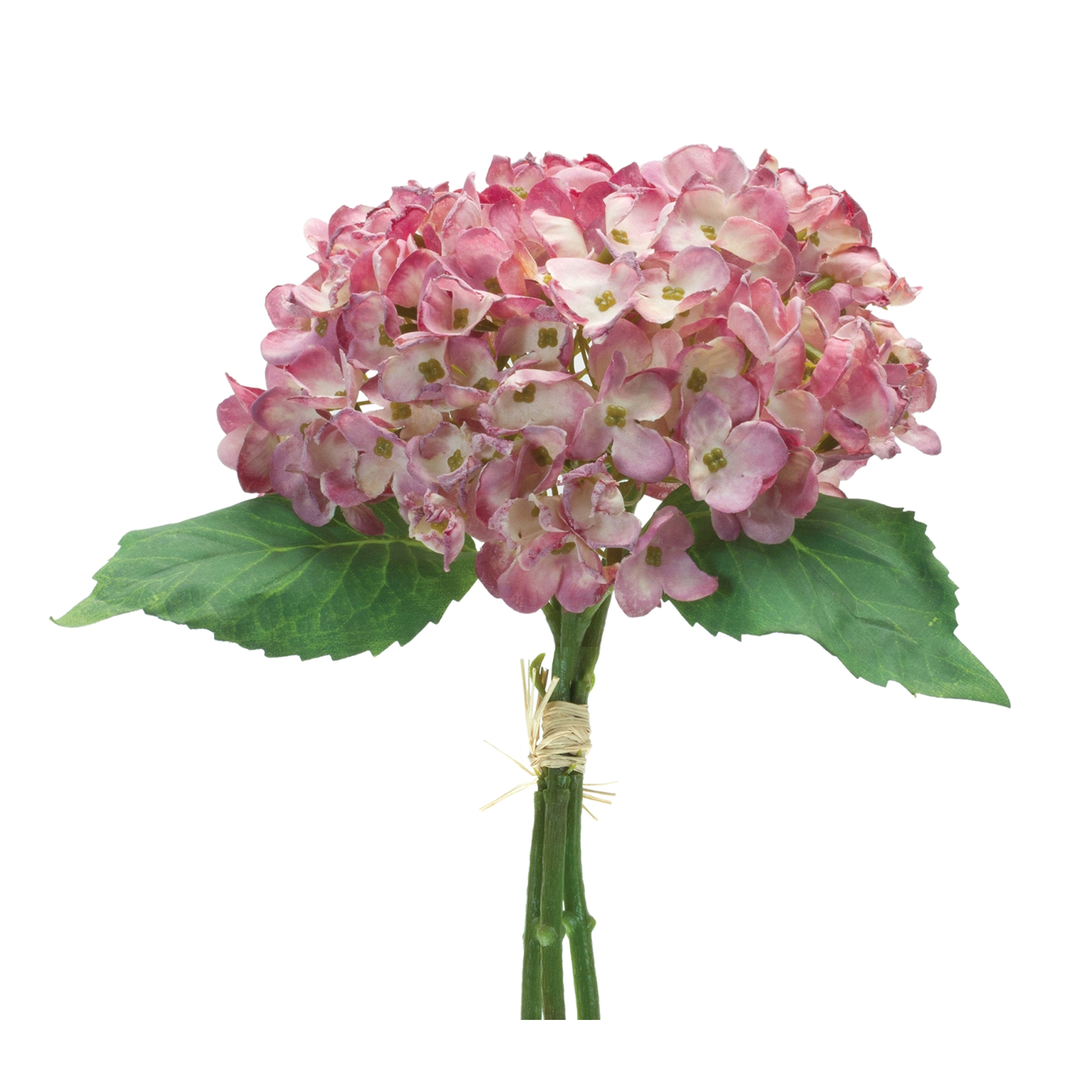 Hydrangea Bundle (Set of 6) 13