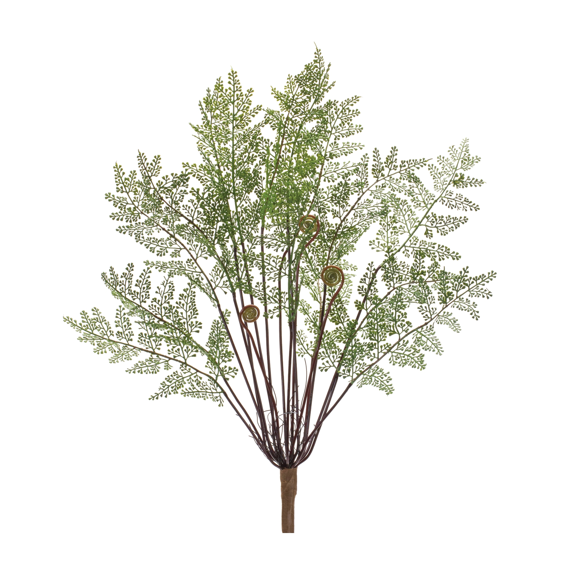 Fern Bush (Set of 2) 20