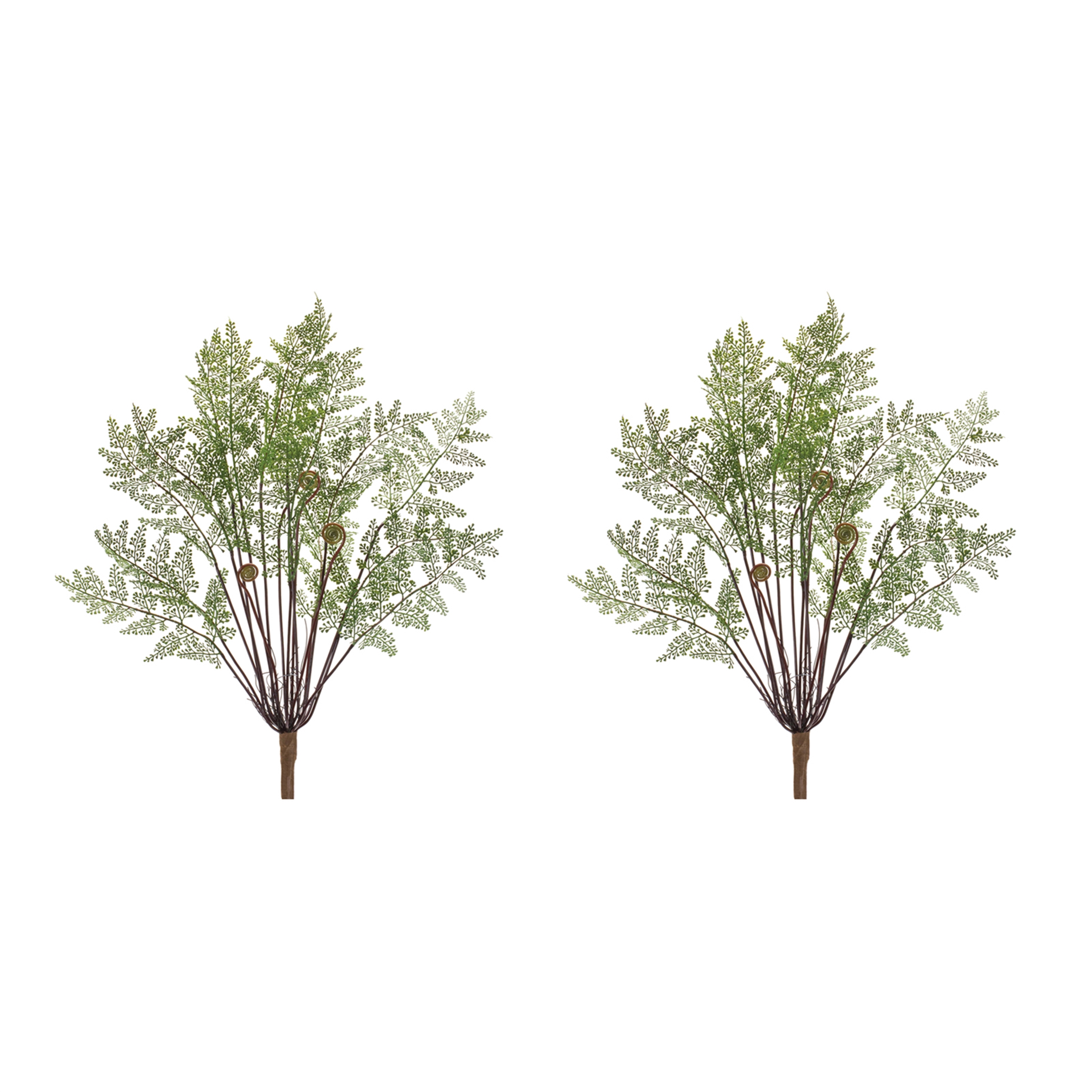 Fern Bush (Set of 2) 20