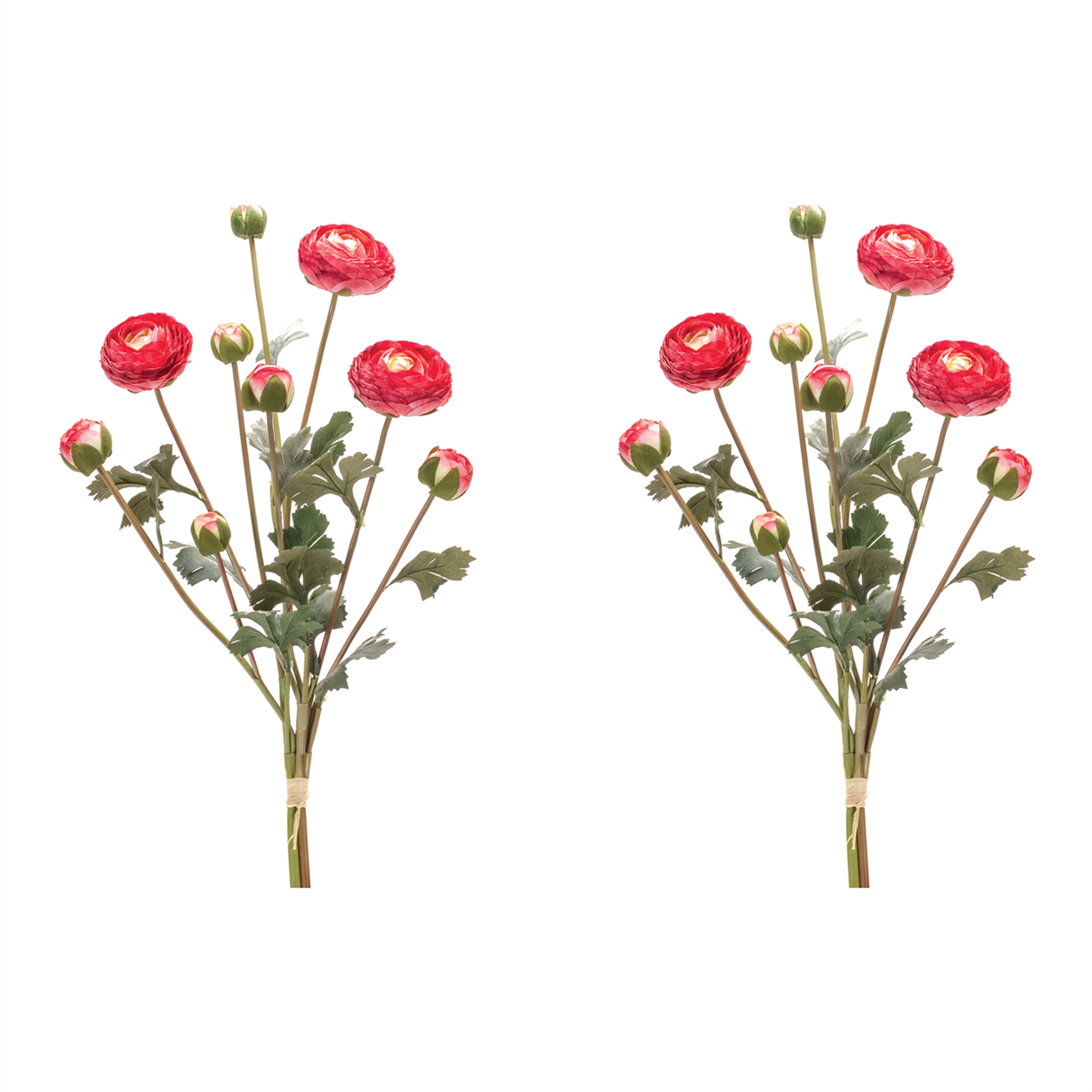Ranunculus Bundle (Set of 2) 23