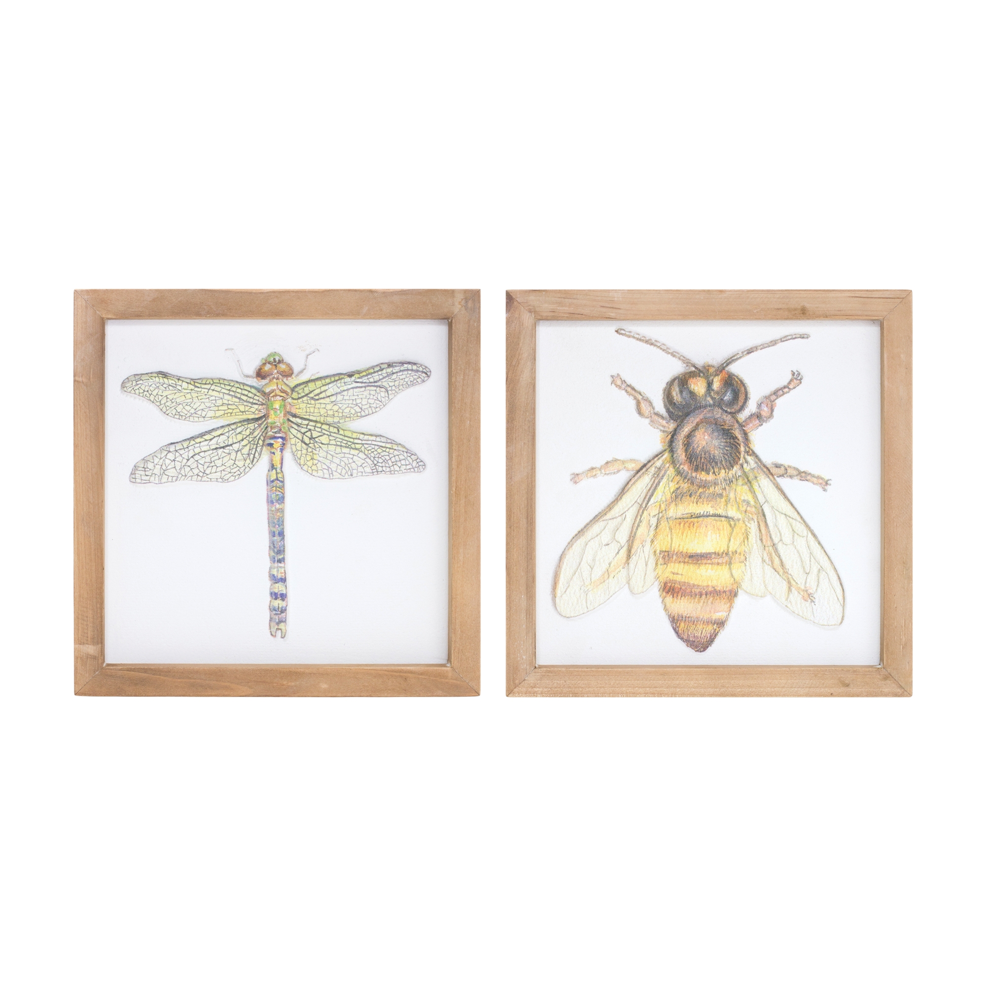 Insect Plaque (Set of 2) 9