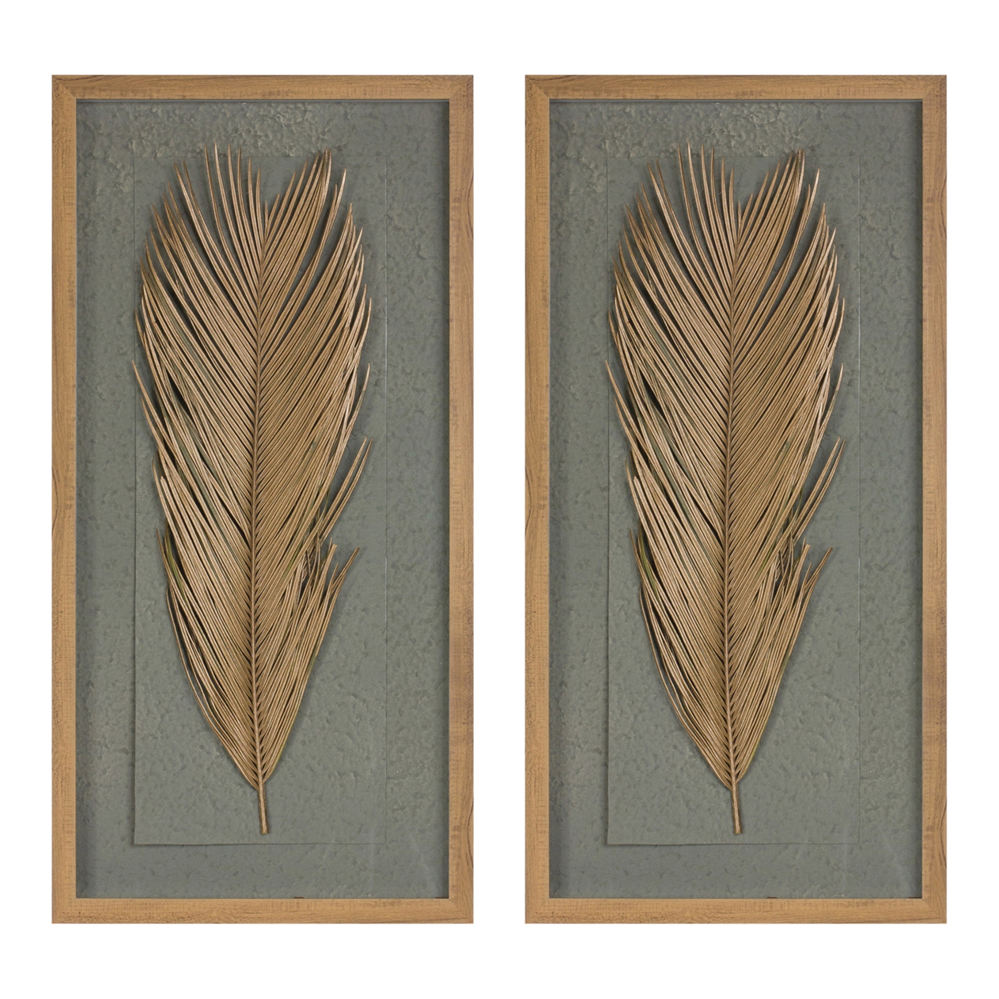 Framed Palm (Set of 2) 14