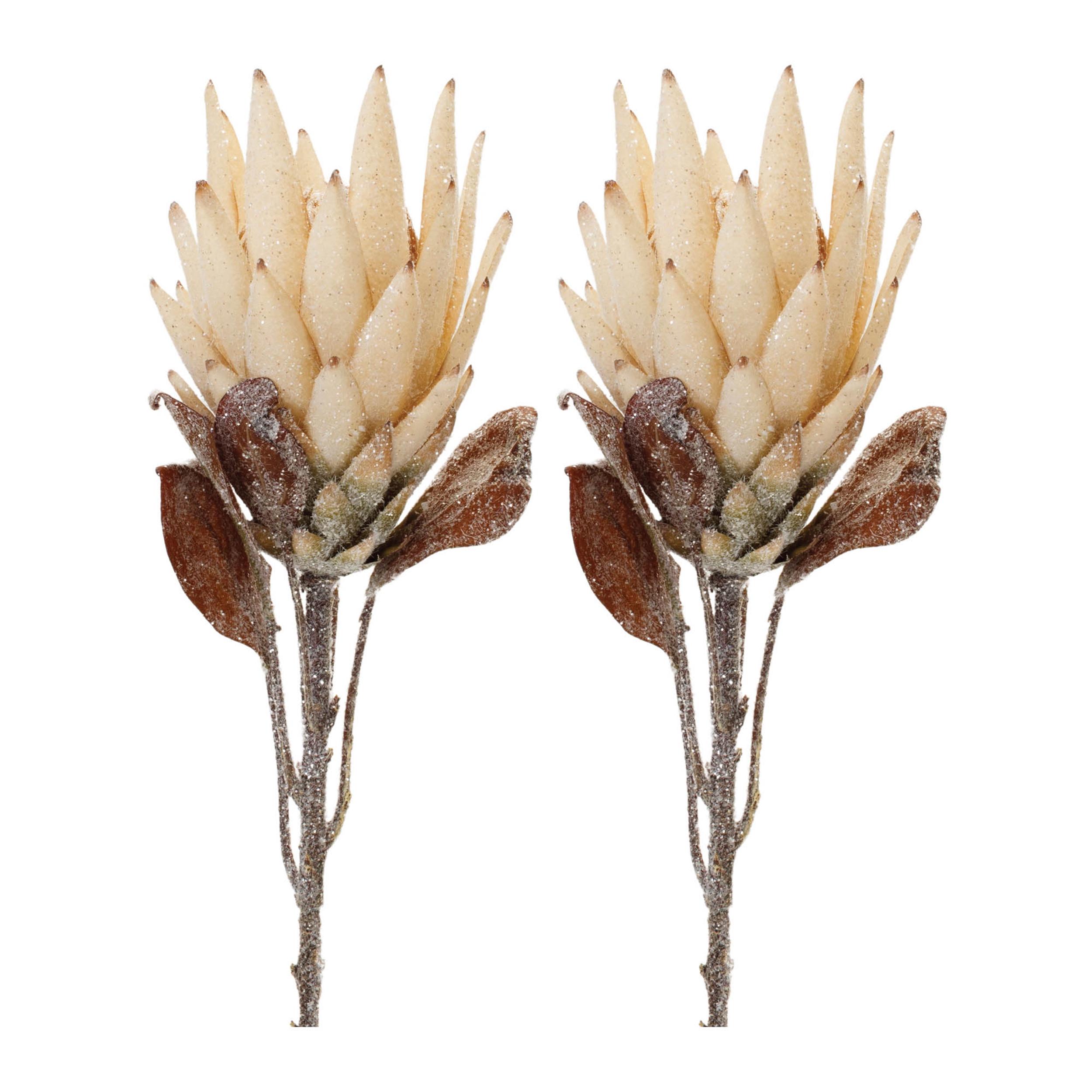 Melrose International Beige Protea Flower Stem (Set of 2) main image 0